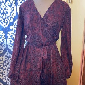 Today is dress day! Beautiful Ann Taylor Below the Knee Dress